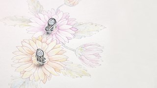 Gifts For Mothers – ENCORDIA™ SOLITAIRE STUD EARRINGS – Forevermark