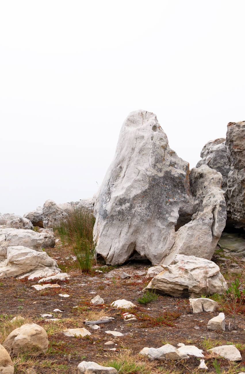 Forevermark Conservation Efforts